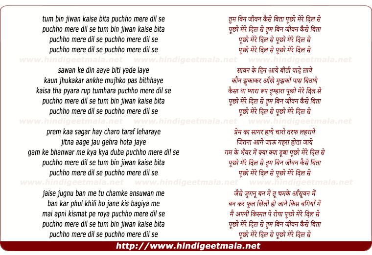 lyrics of song Tum Bin Jeewan Kaisa Beeta, Puchho Mere Dil Se
