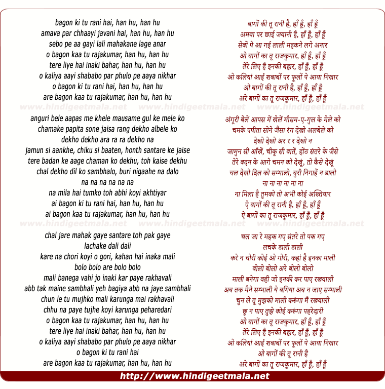 lyrics of song Bagon Ki Tu Rani Hai