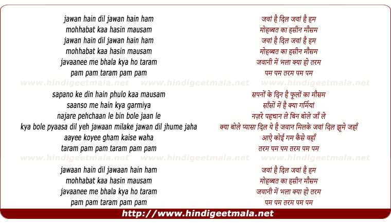 lyrics of song Jawan Hain Dil Jawan Hain Ham