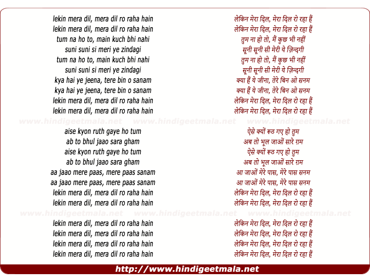 lyrics of song Lekin Mera Dil (Remix)