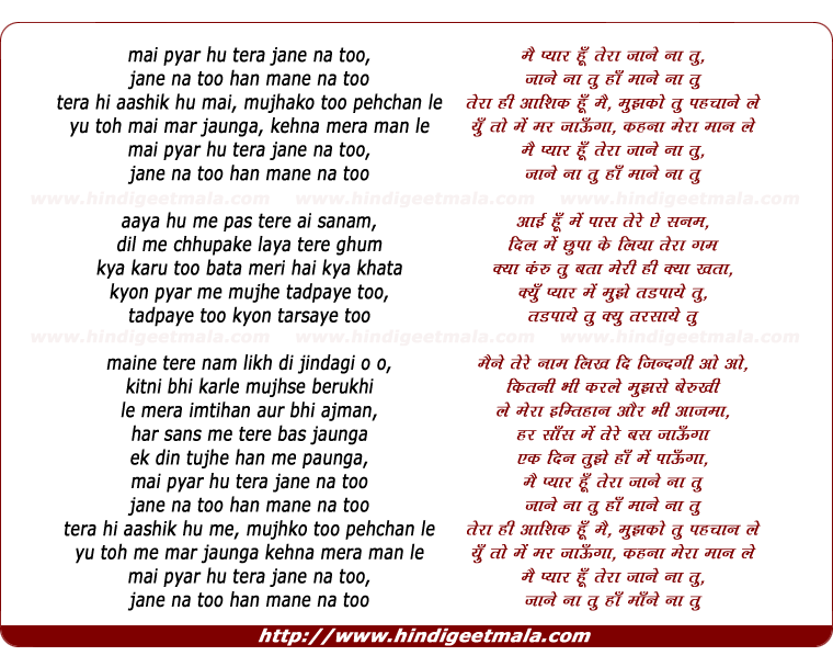 lyrics of song Mai Pyar Hu Tera Jane Na Too