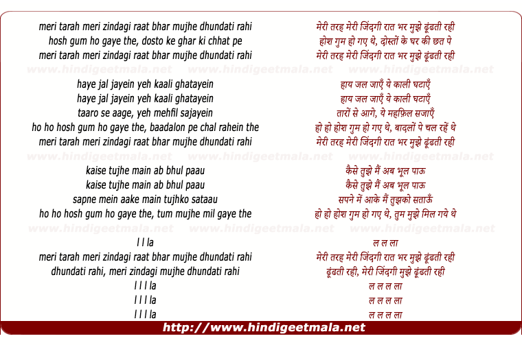 lyrics of song Meri Tarah Meri Jindagi