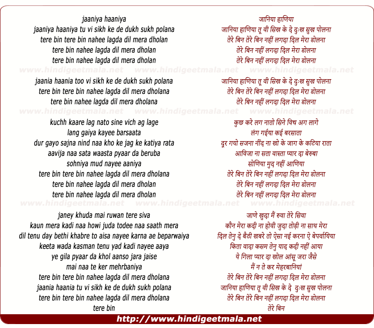lyrics of song Tere Bin Nahee Lagda Dil Mera Dholana