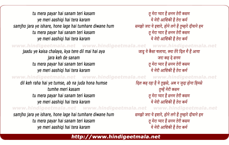 lyrics of song Too Meraa Pyaar Hai Sanam Teree Kasam
