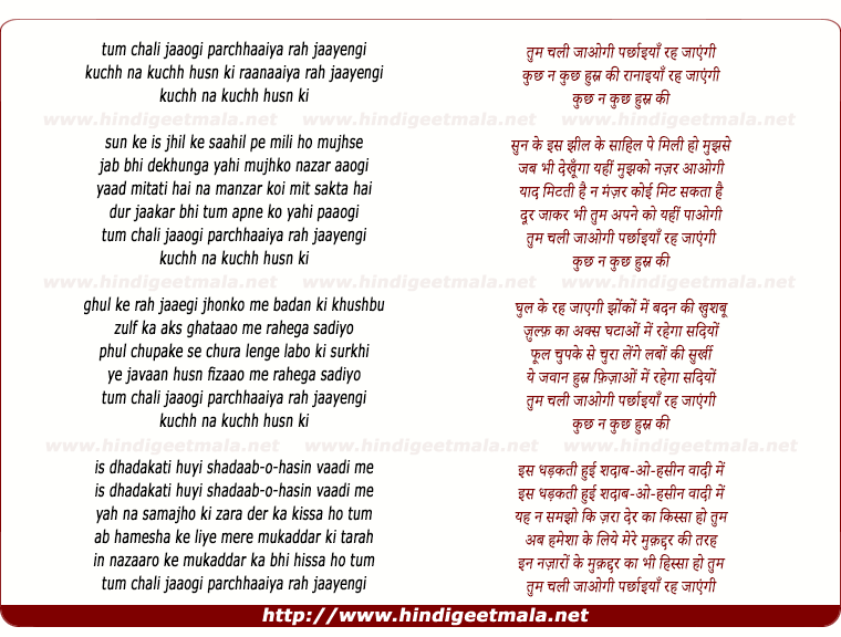 lyrics of song Tum Chali Jaaogi Parchhaaiyaan Rah Jaayengi