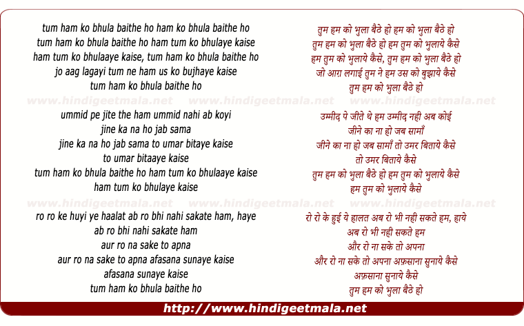 lyrics of song Tum Ham Ko Bhula Baithe Ho