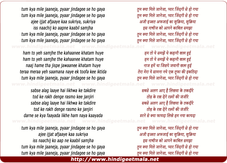 lyrics of song Tum Kya Mile Jaaneja Pyar Jindagee Se Ho Gaya