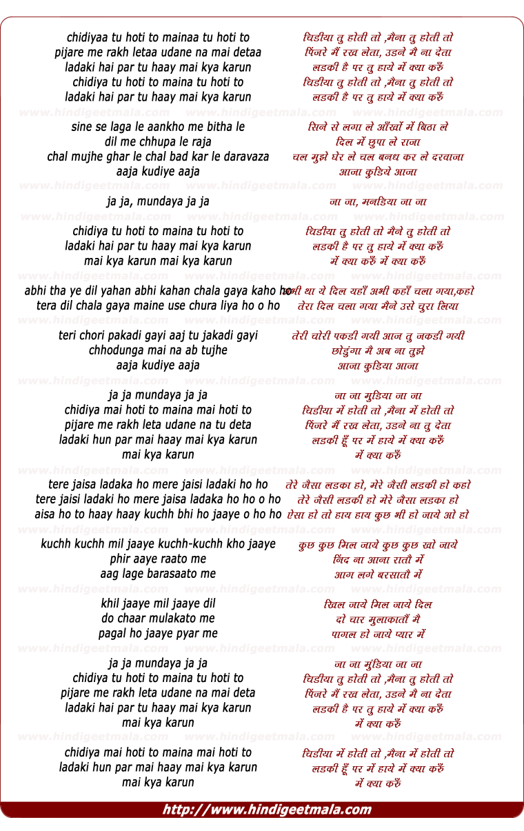 lyrics of song Chidiyaa Tu Hoti To Mainaa Tu Hoti To
