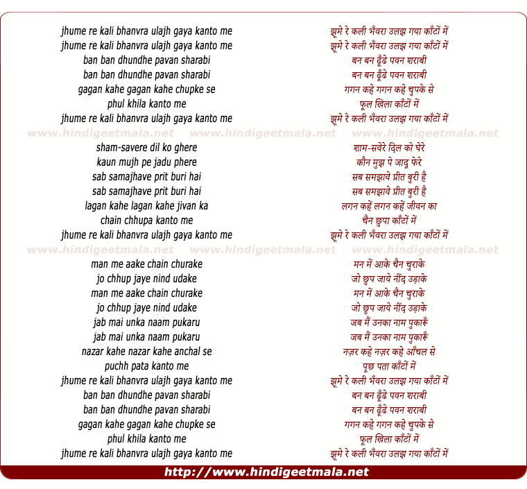 lyrics of song Jhume Re Kali Bhanvara Ulajh Gaya Kanton Me