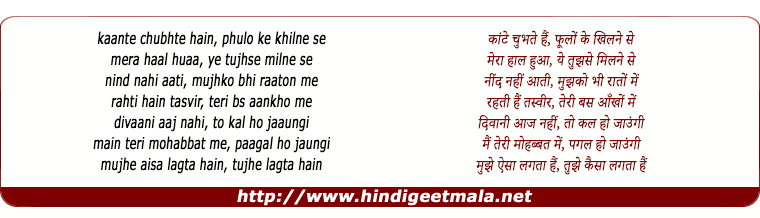 lyrics of song Main Teri Mohabbat Me Pagal Ho Jaaunga