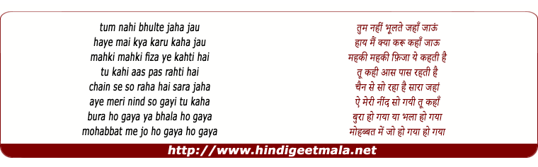 lyrics of song Tum Nahi Bhulte Jahan Jayoon, Haye Mai Kya Karu