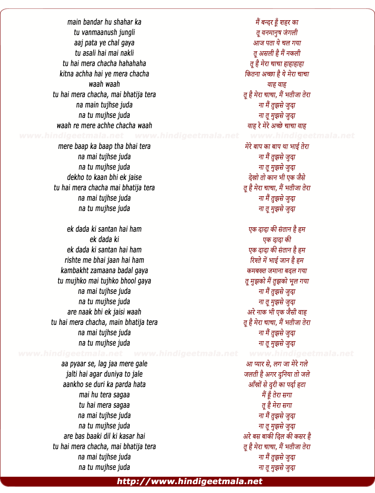 lyrics of song Mein Bandar Hun Shahar Ka Tu Vanmanus Jungli