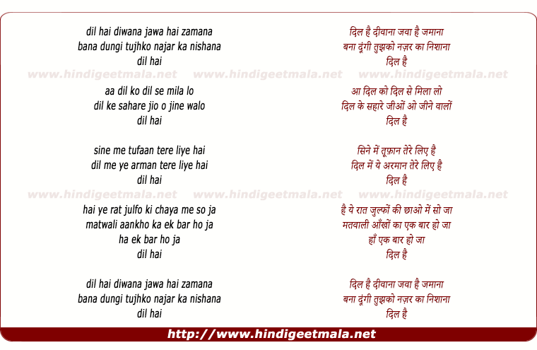 lyrics of song Dil Hai Deewana Jawaa Hai Zamana