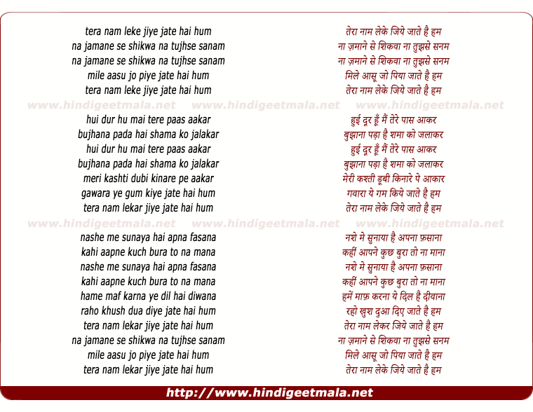 lyrics of song Tera Naam Leke Jiye Jaate Hai Hum