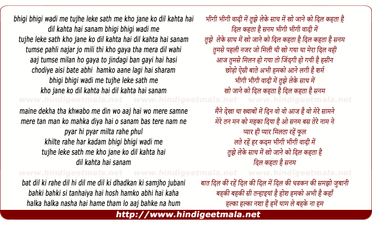 lyrics of song Bheegi Bheegi Waadi Me Tujhe Leke Sath Chale