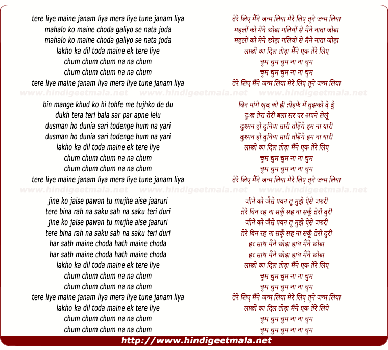 lyrics of song Tere Liye Maine Janam Liya, Mere Liye Tune Janam Liya