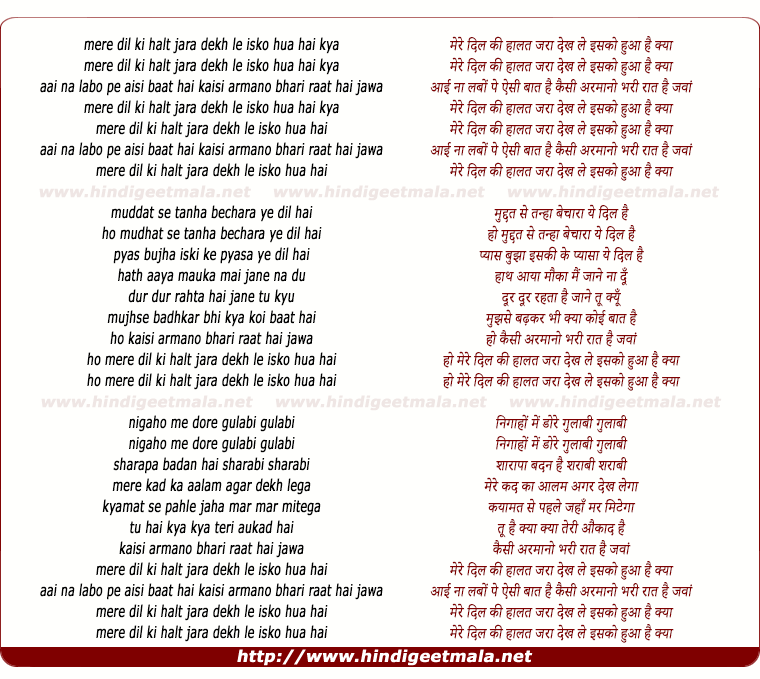 lyrics of song Mere Dil Ki Halat Zara Dekh Le