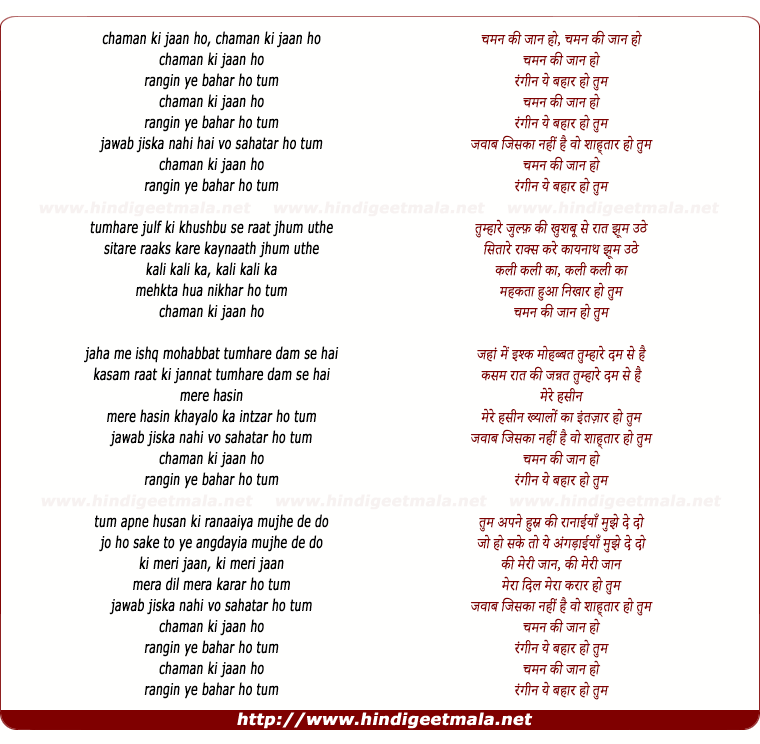 lyrics of song Chaman Ki Jaan Ho, Rangin Ye Bahaar Ho Tum