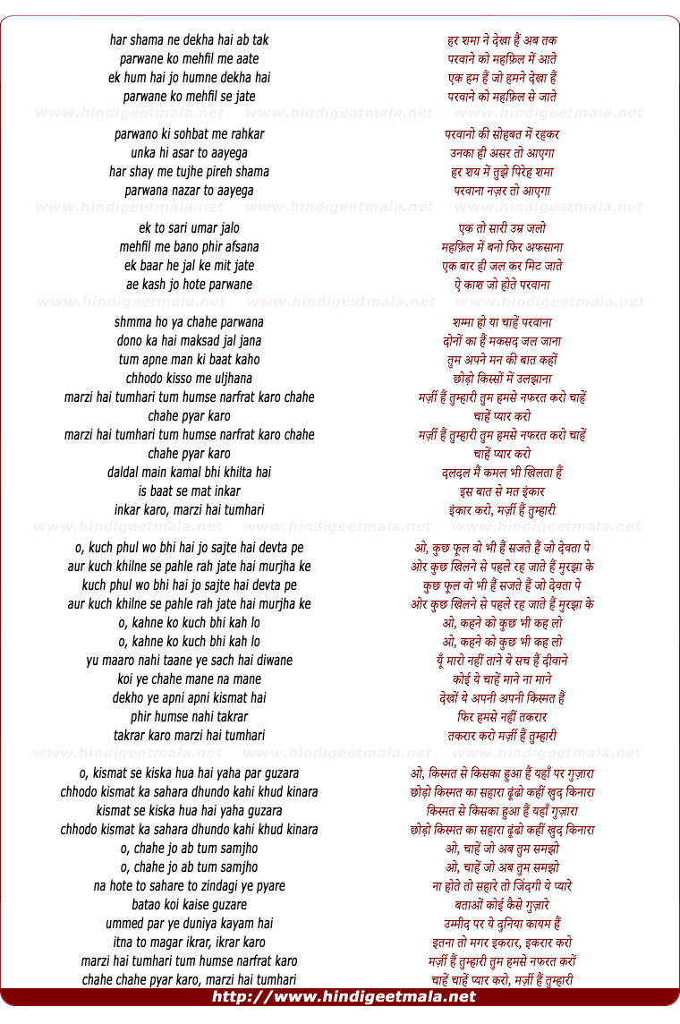 lyrics of song Marzi Hai Tumhari