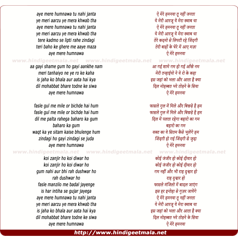 lyrics of song Ae Mere Humnawa Tu Nahi Janta