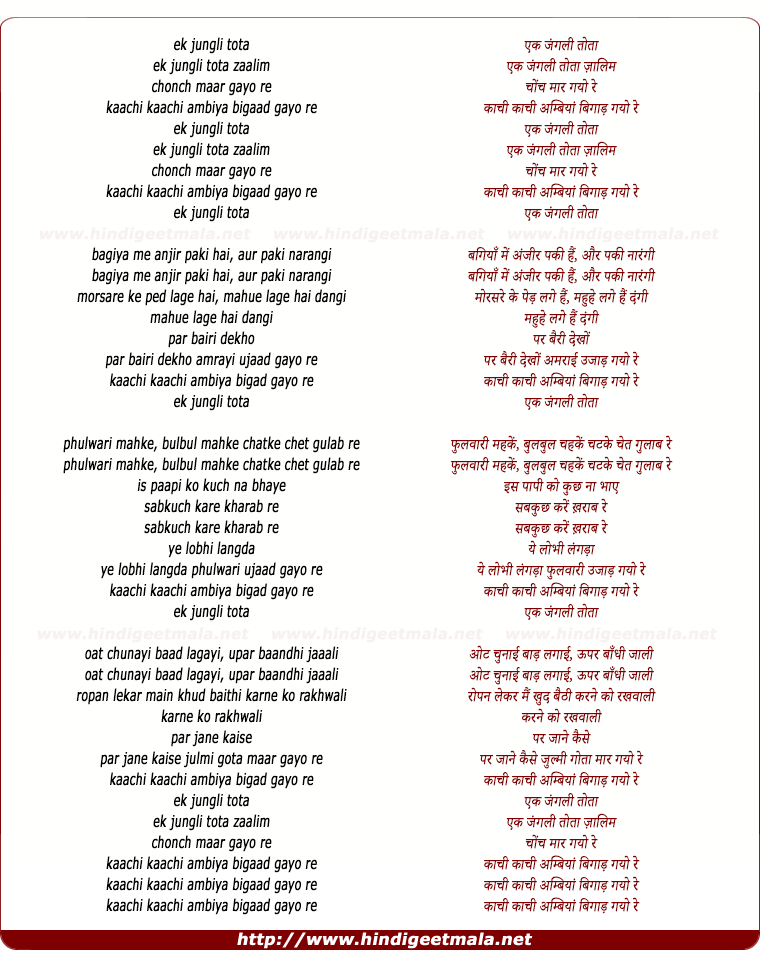 lyrics of song Ek Jungli Tota Zaalim
