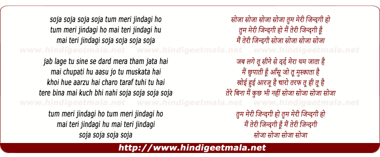 lyrics of song Tum Meri Zindagi Ho
