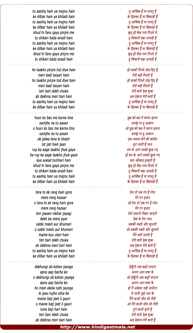 lyrics of song Tu Ashiq Hai Ya Majnu Hai