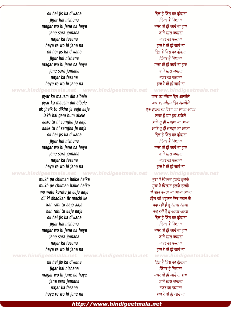 lyrics of song Dil Hai Jiska Diwana