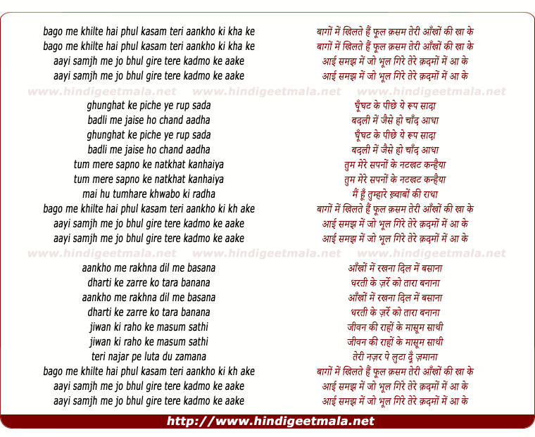 lyrics of song Bagho Me Khilte Hai Phool