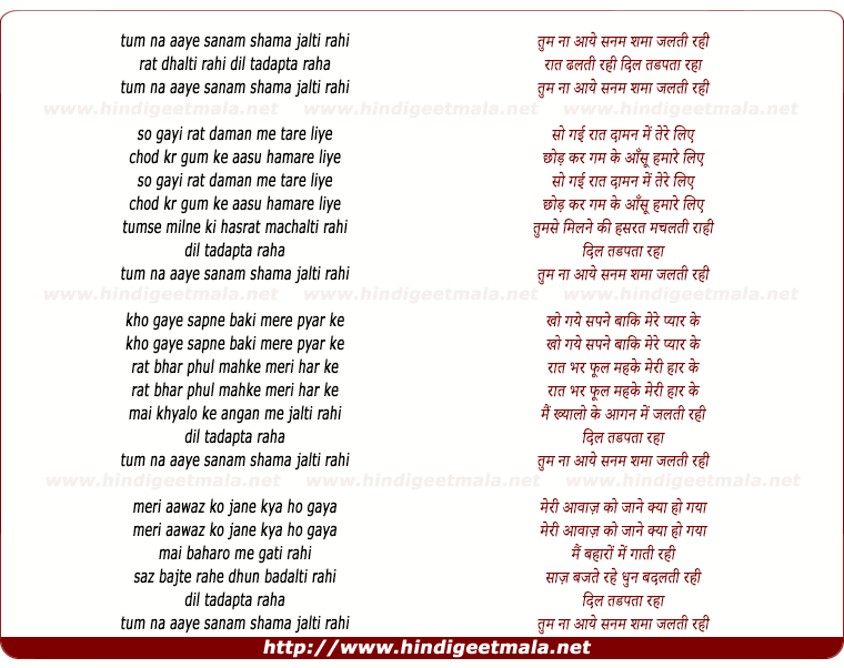 lyrics of song Tum Na Aaye Sanam Shama Jalti Rahi