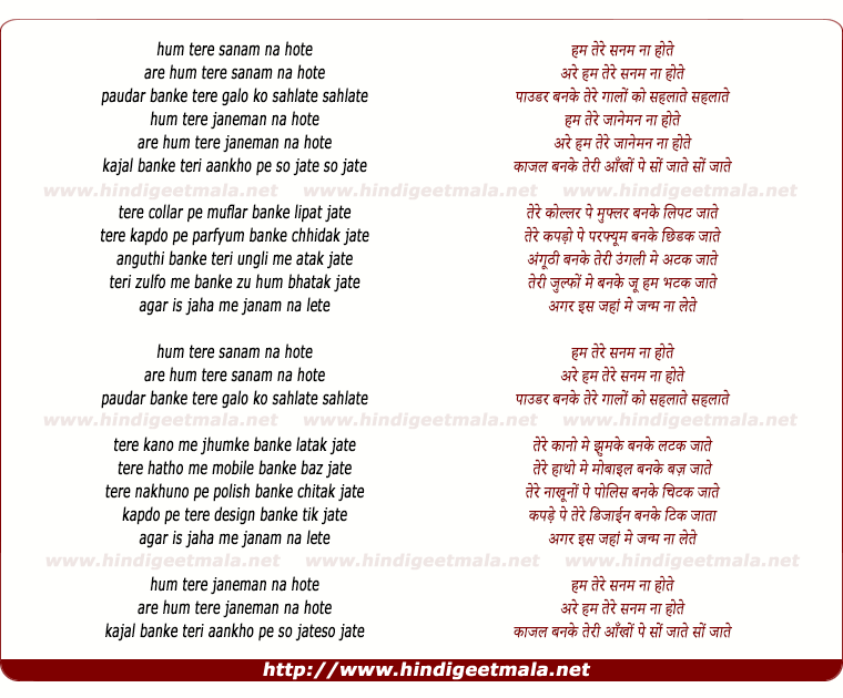 lyrics of song Hum Tere Sanam Na Hote