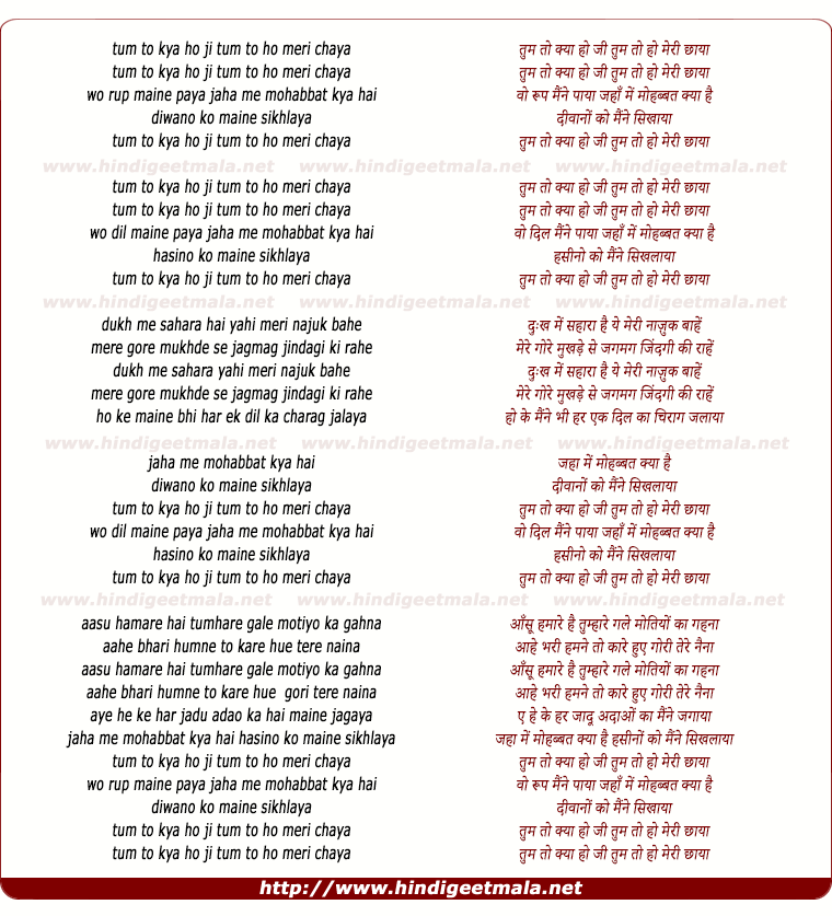 lyrics of song Tum To Kya Ho Ji Tum To Ho Meri Chhaya