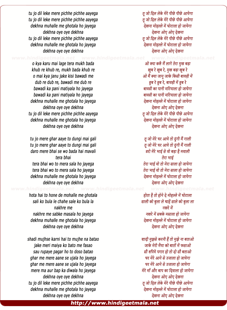 lyrics of song Tu Jo Dil Leke Mere Piche Aayega