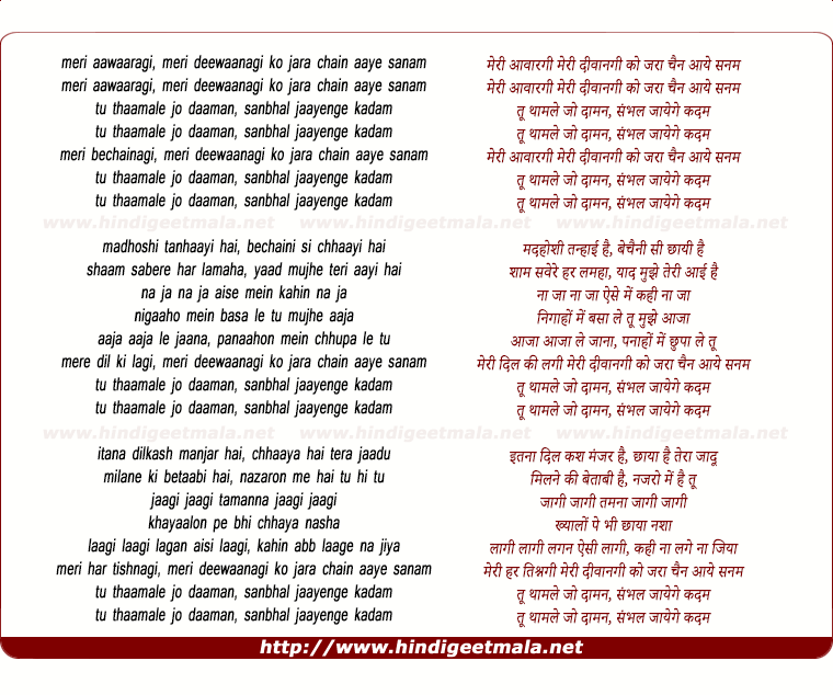 lyrics of song Meri Aawargi (Remix)