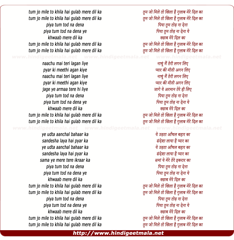 lyrics of song Tum Jo Mile To Khila Hai Gulab Mere Dil Ka