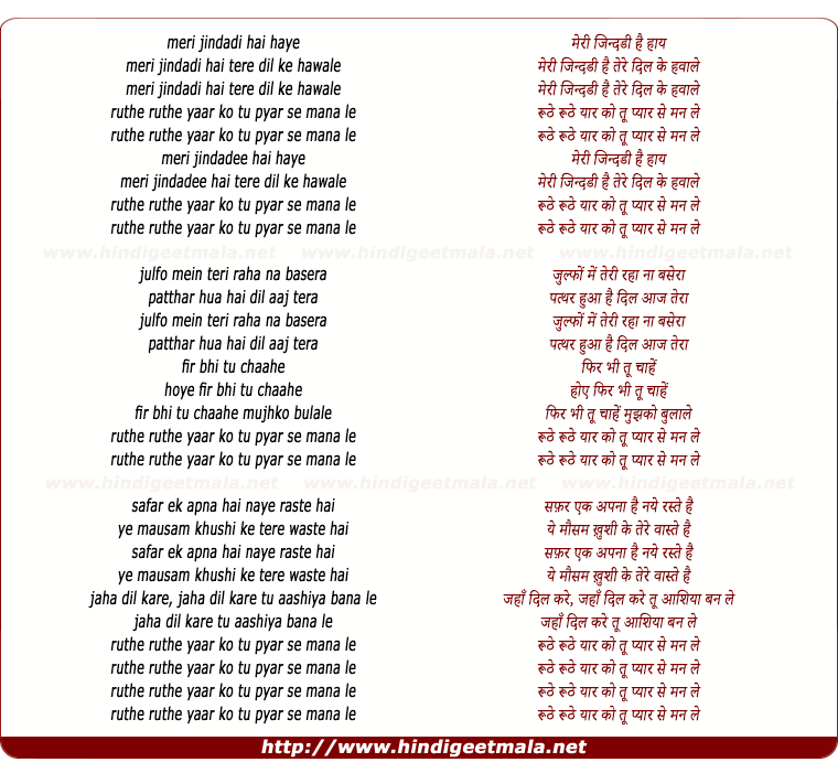 lyrics of song Meri Jindari (Remix)