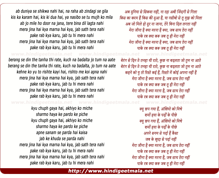 lyrics of song Mera Jeena Hai Kya Marna Hai Kya (Remix)