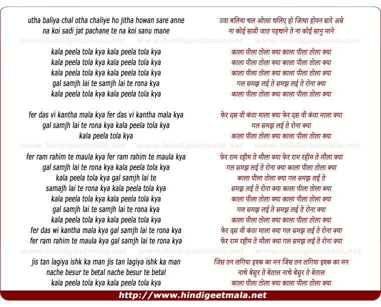 lyrics of song Kaala Peela Tola Kya