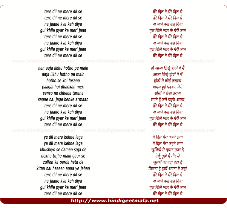 lyrics of song Tere Dil Ne (Hadh)