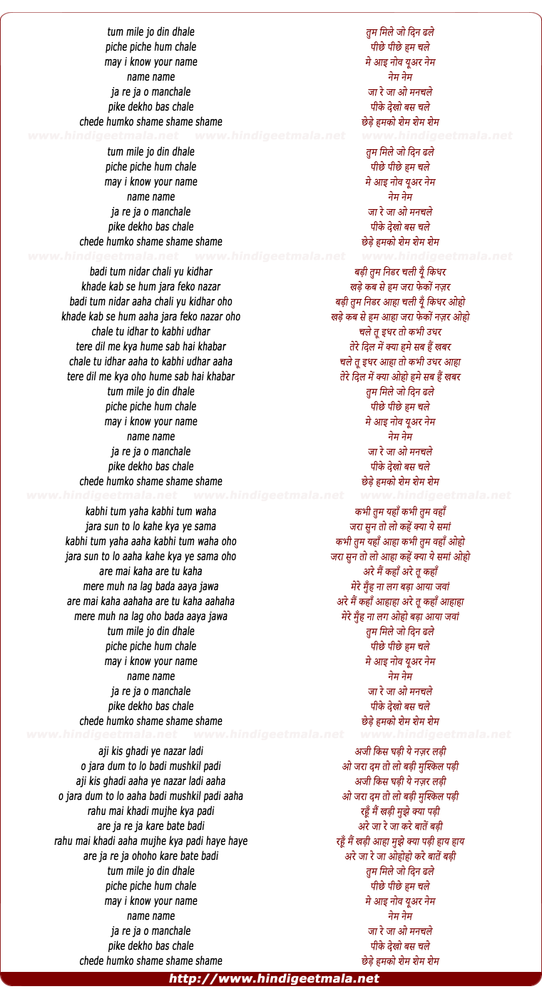 lyrics of song Tum Mile Wo Dil Dhale Piche Piche Ham Chale