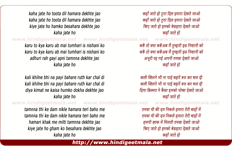 lyrics of song Kaha Jate Ho Toota Dil Hamara Dekhte Jao