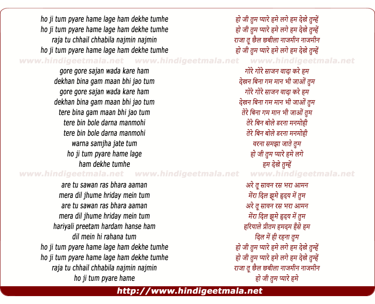 lyrics of song Ho Ji Tum Pyare Hume