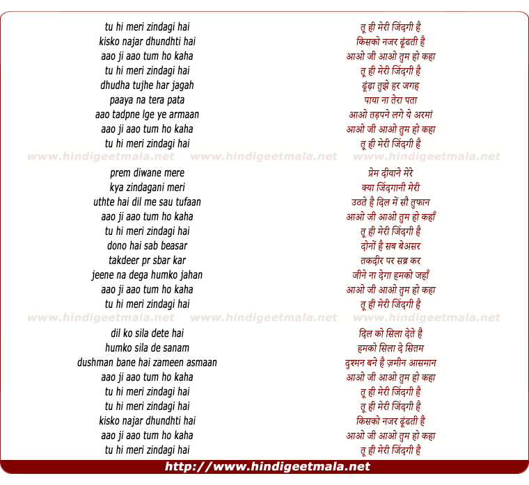 lyrics of song Tu Hi Meri Zindagi Hai