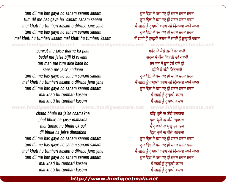 lyrics of song Tum Dil Me Bas Gaye Ho Sanam