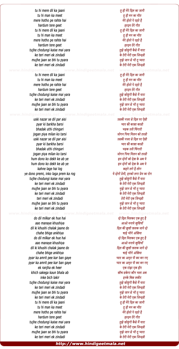 lyrics of song Tu Hi Mere Dil Ka Jani