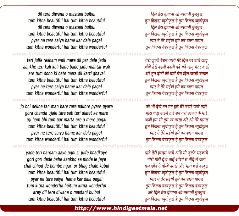 lyrics of song Dil Tera Diwana O Mastani Bulbul