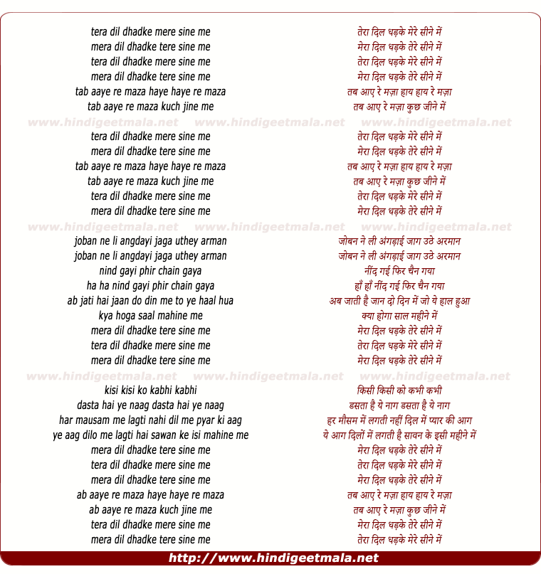 lyrics of song Dhak Dhak Tera Dil Dhadke