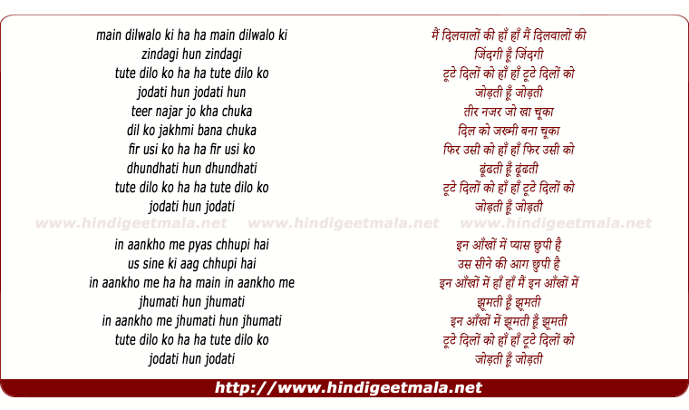 lyrics of song Mai Dil Wale Ki Zindagi Hu