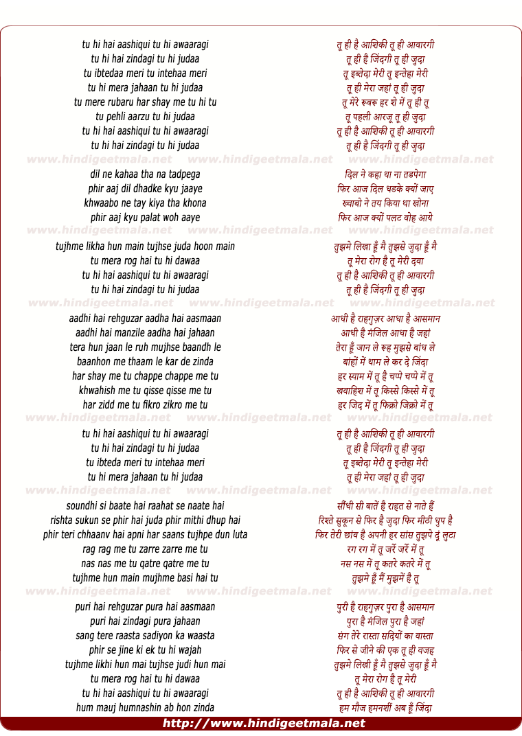 lyrics of song Tu Hi Hai Aashiqui (Remix)