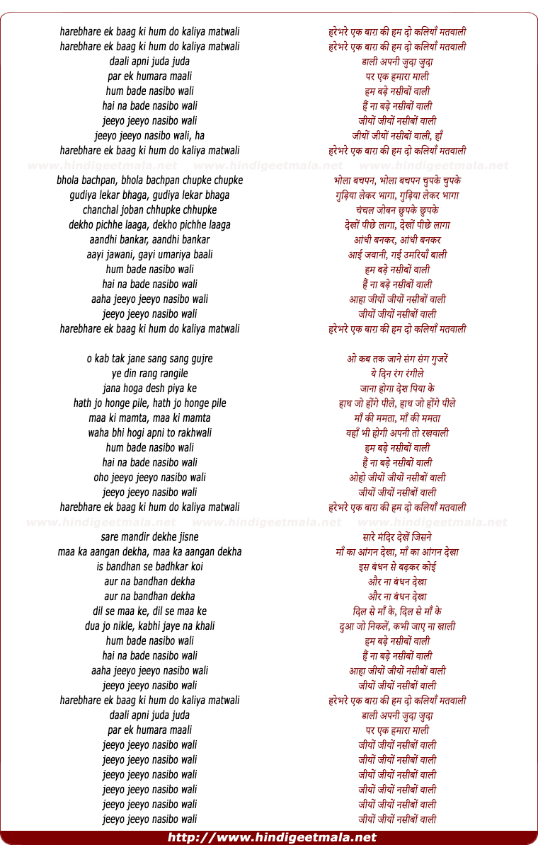 lyrics of song Jiyo Jiyo